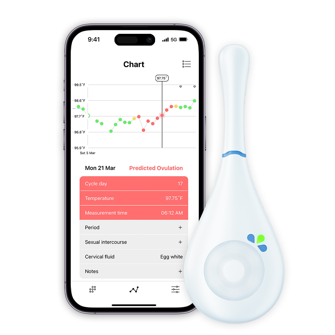 DaysyDay app met temperatuurcurve naast het Daysy apparaat